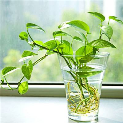 AOA体育下载手机版截图